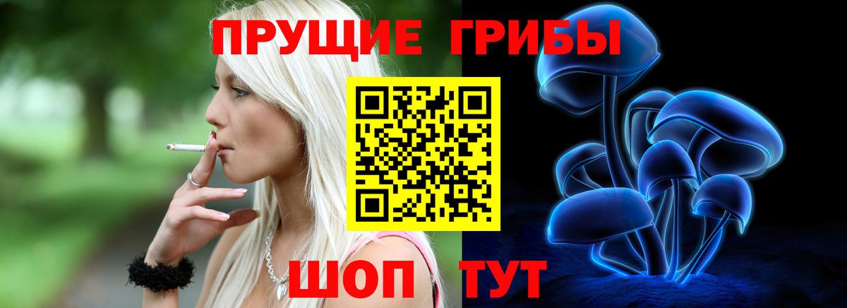 Электросталь  купить  цена  Вход с VPN  Псилоцибиновые грибы MAGIC MUSHROOMS 